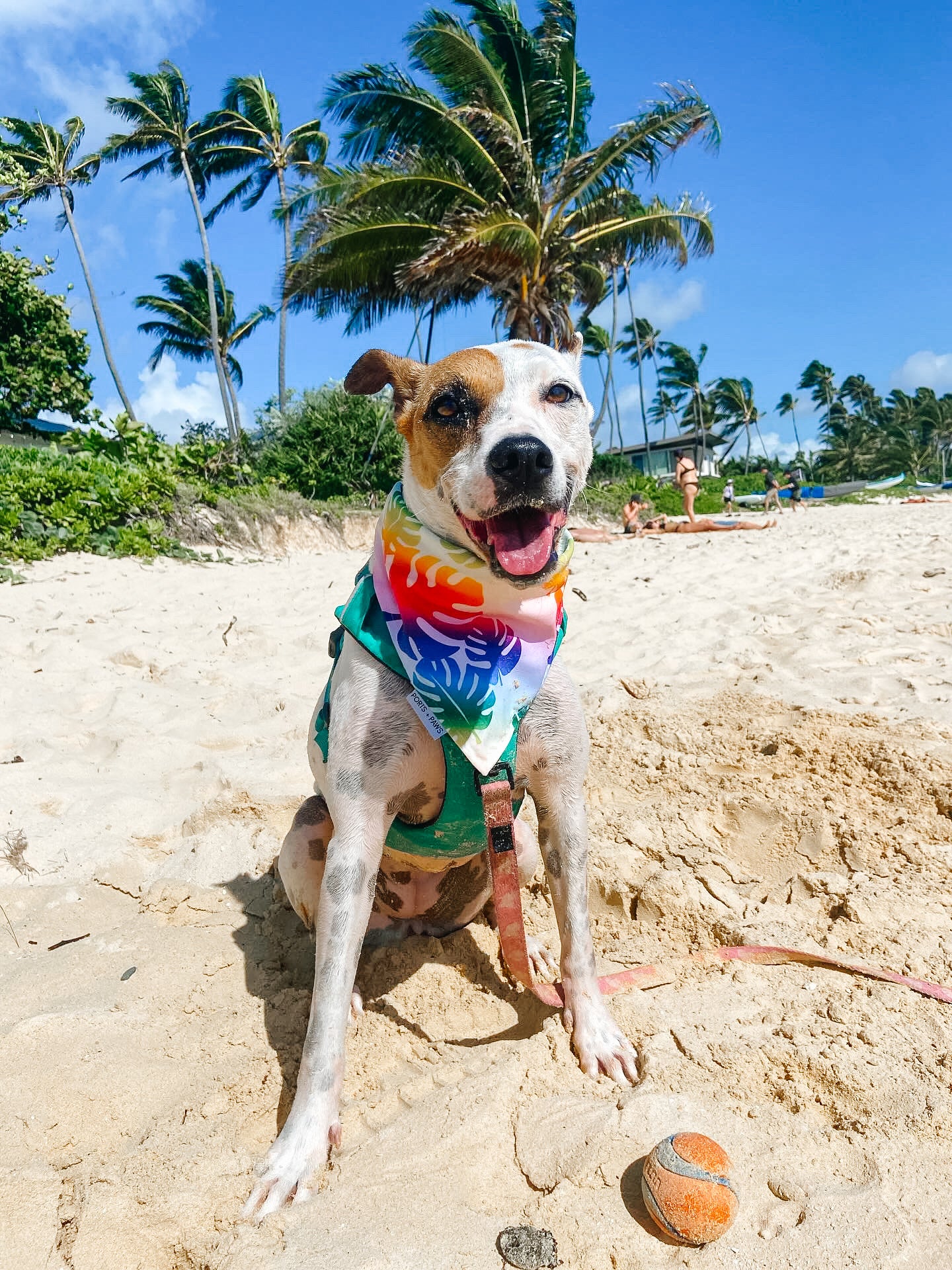 QUICK DRY BANDANA - RAINBOW MONSTERA