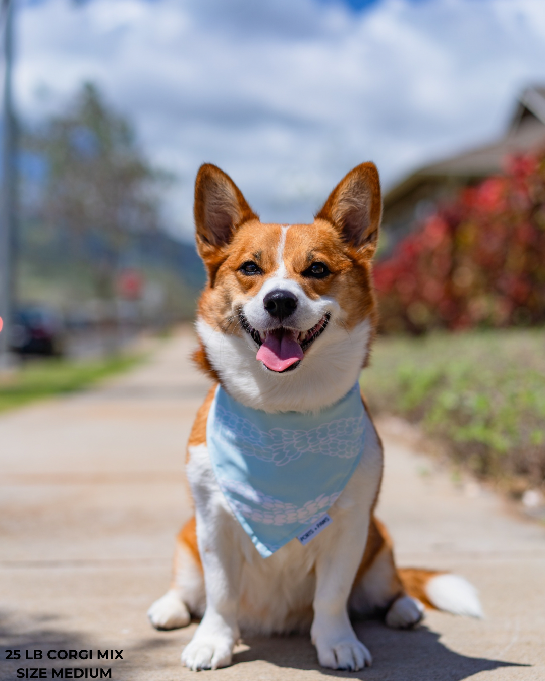 QUICK DRY BANDANA - PIKAKE LEI