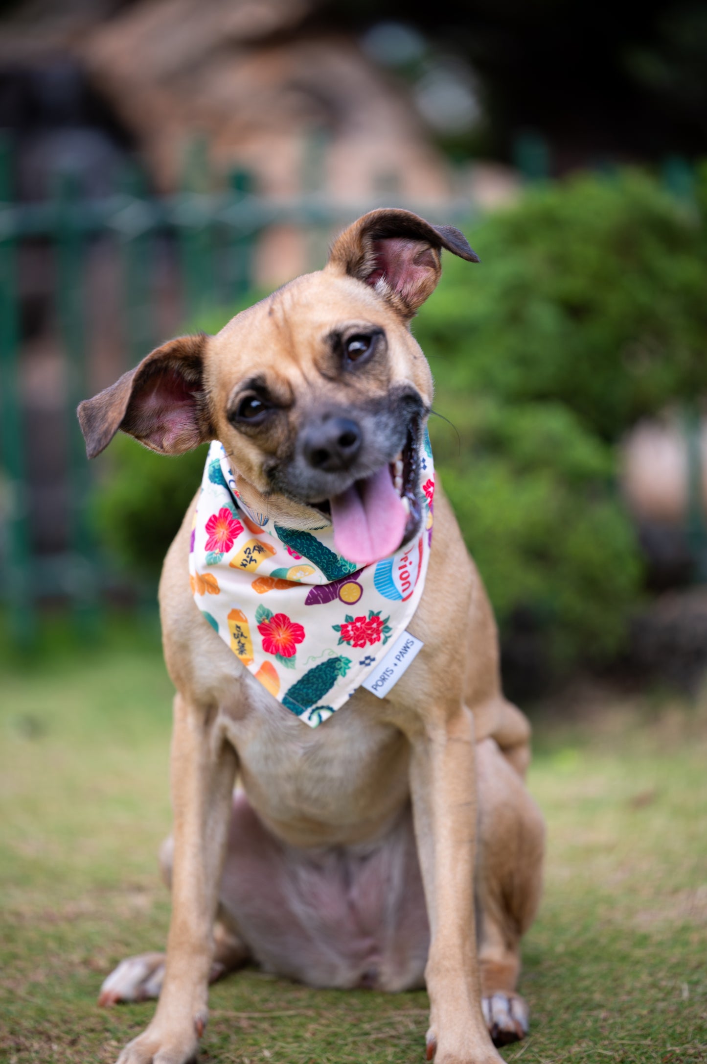 QUICK DRY BANDANA - OKINAWAN FESTIVAL SAND
