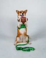 DOG TOY - UH FOOTBALL