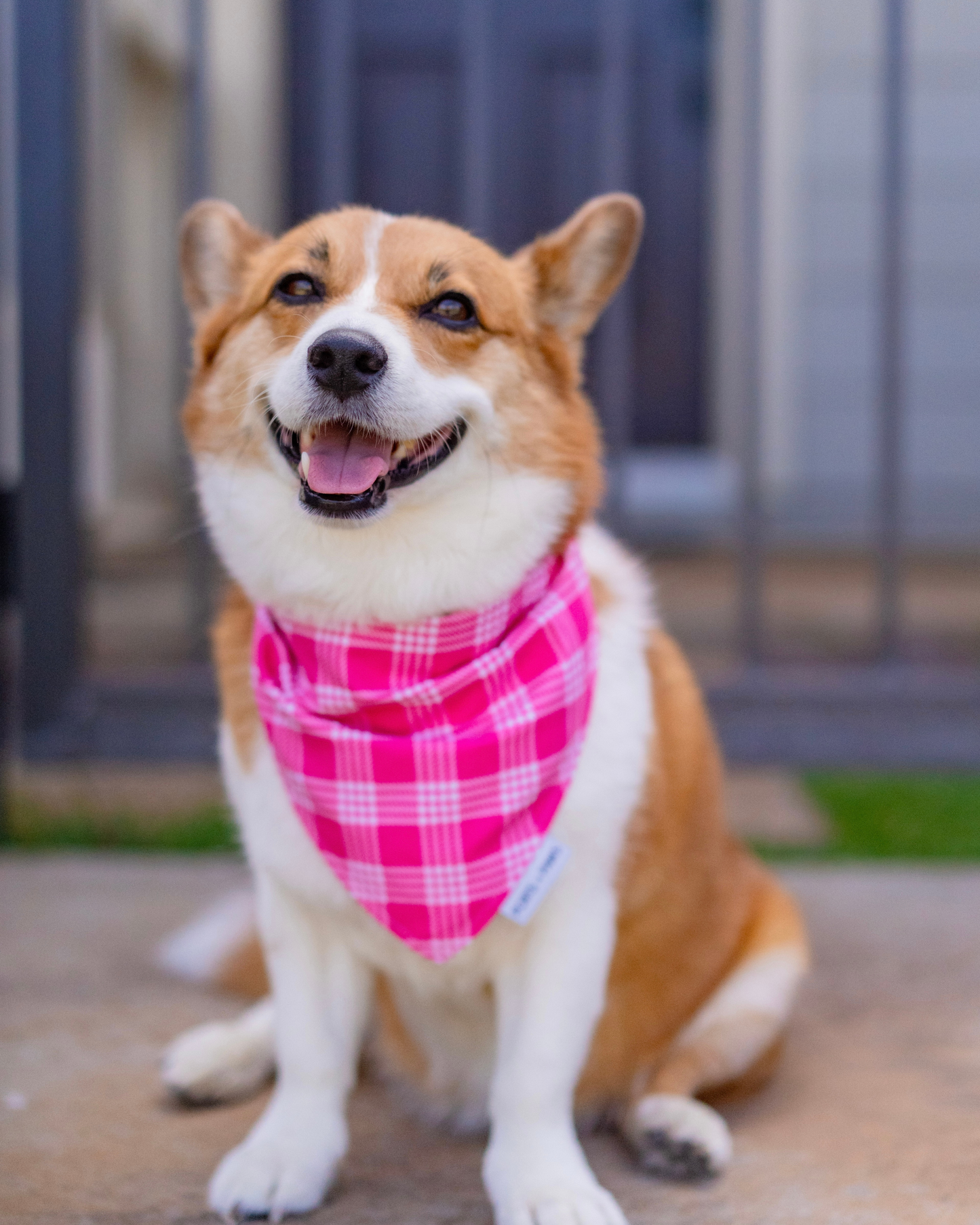 QUICK DRY BANDANA - PALAKA PINK