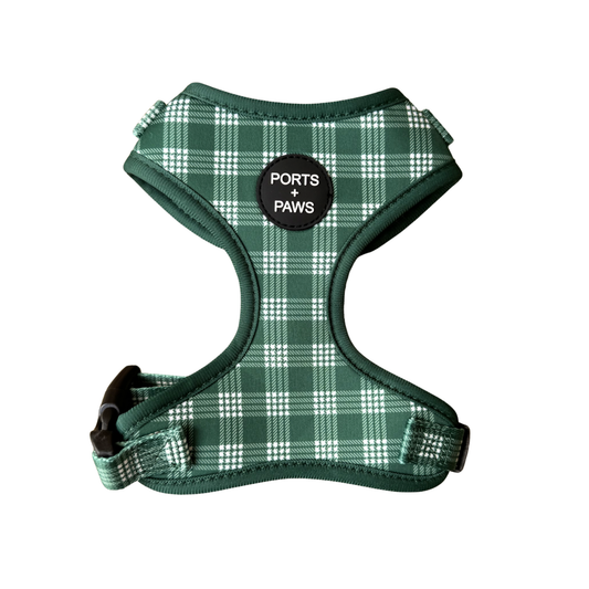 ADJUSTABLE HARNESS - PALAKA GREEN