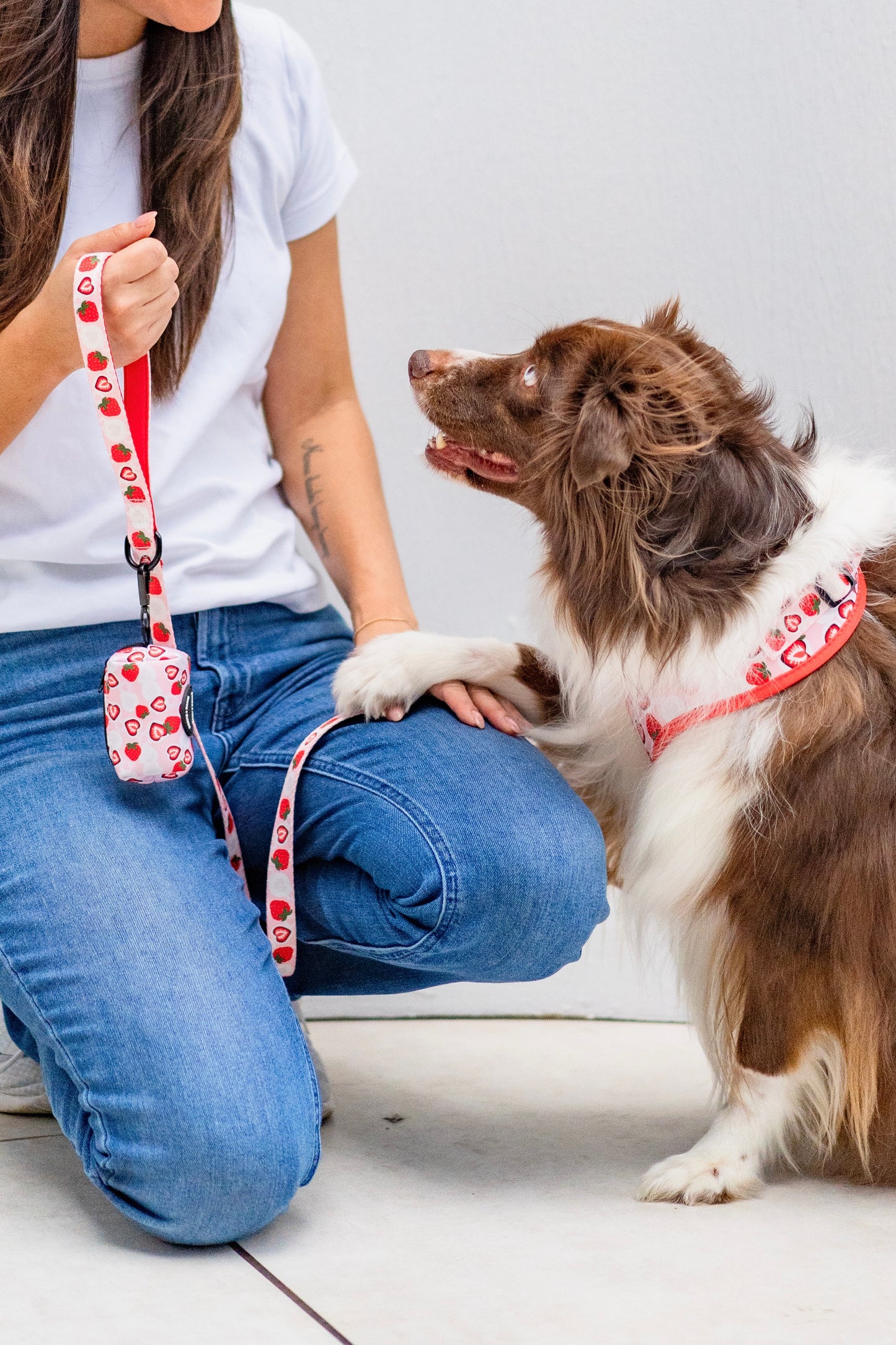 LEASH - STRAWBERRY MOCHI