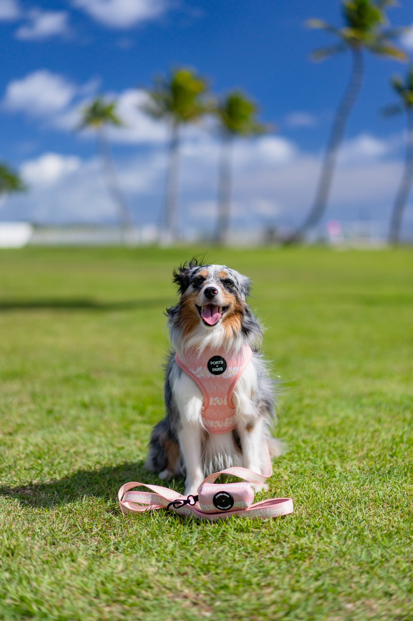 POOP BAG HOLDER - PLUMERIA