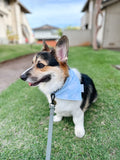 QUICK DRY BANDANA - CLOUD BLUE PALM