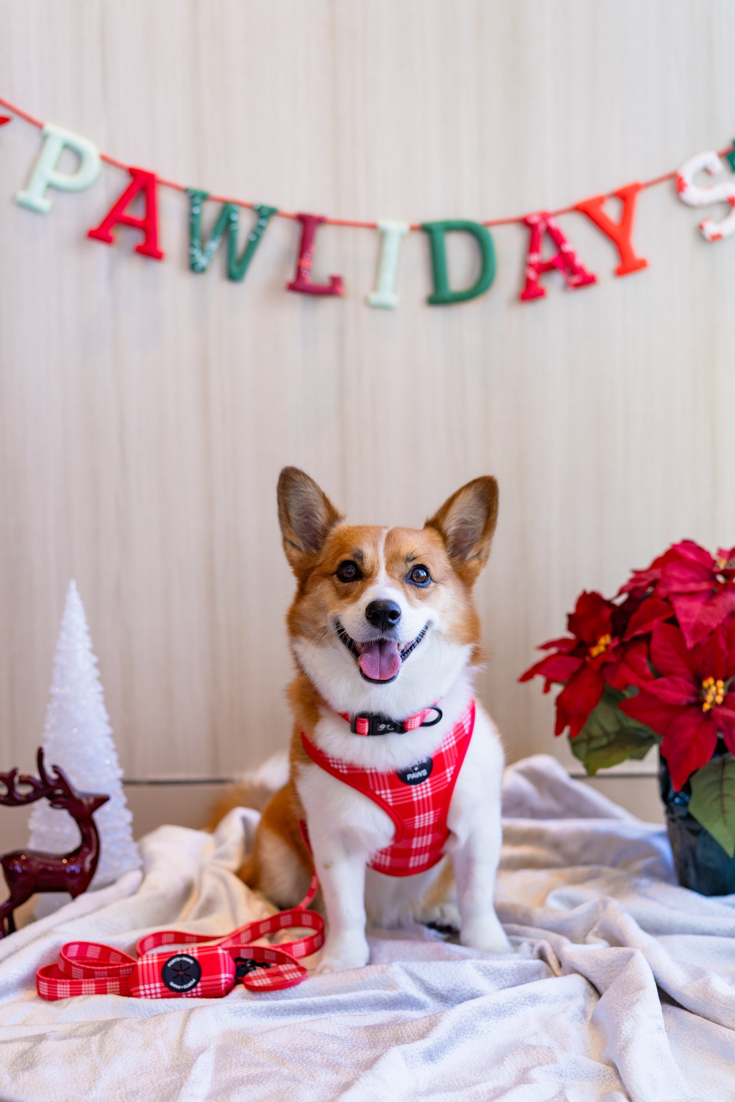 POOP BAG HOLDER - PALAKA RED