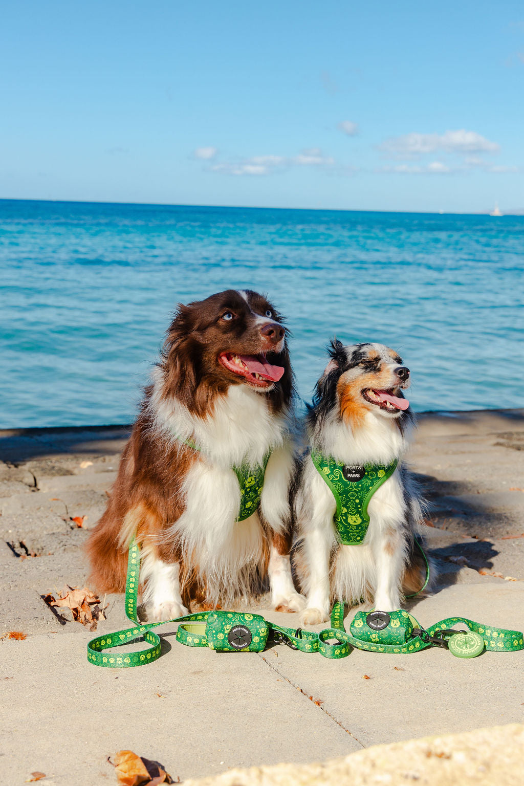 ADJUSTABLE HARNESS - HAWAIIAN HUMANE SOCIETY