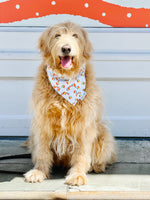 QUICK DRY BANDANA - RAINBOW SHAVE ICE