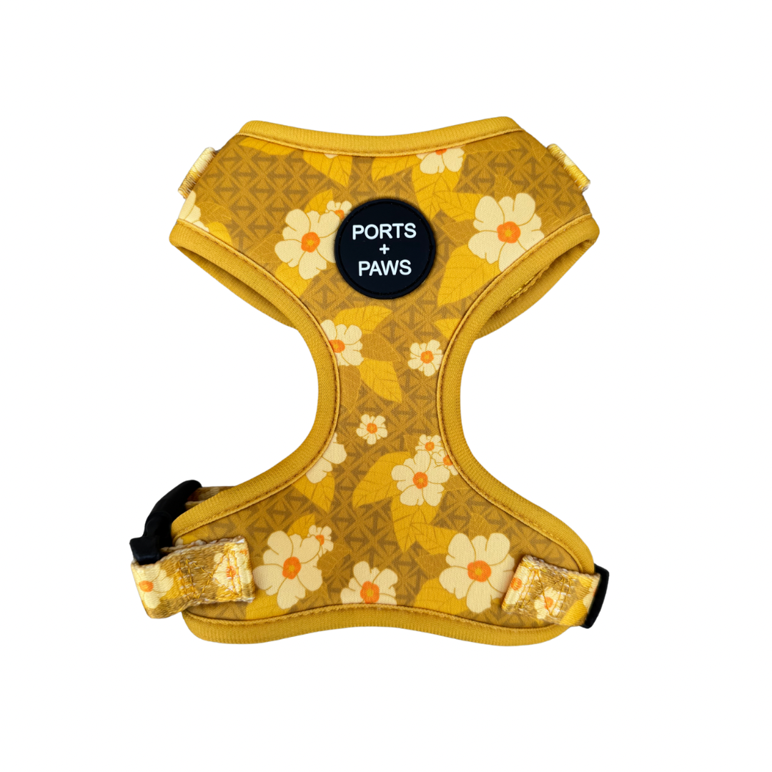 ADJUSTABLE HARNESS - OʻAHU ʻILIMA