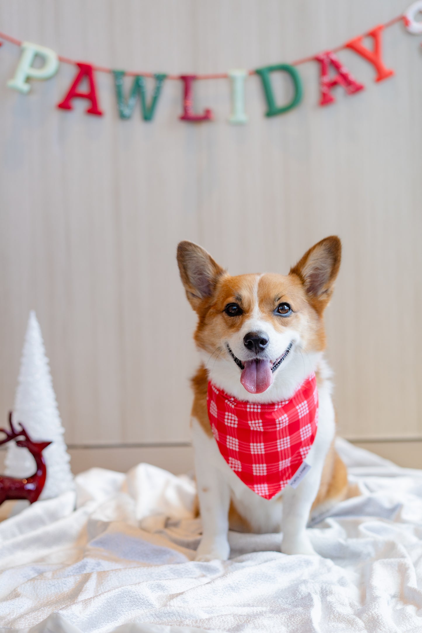 QUICK DRY BANDANA - PALAKA RED