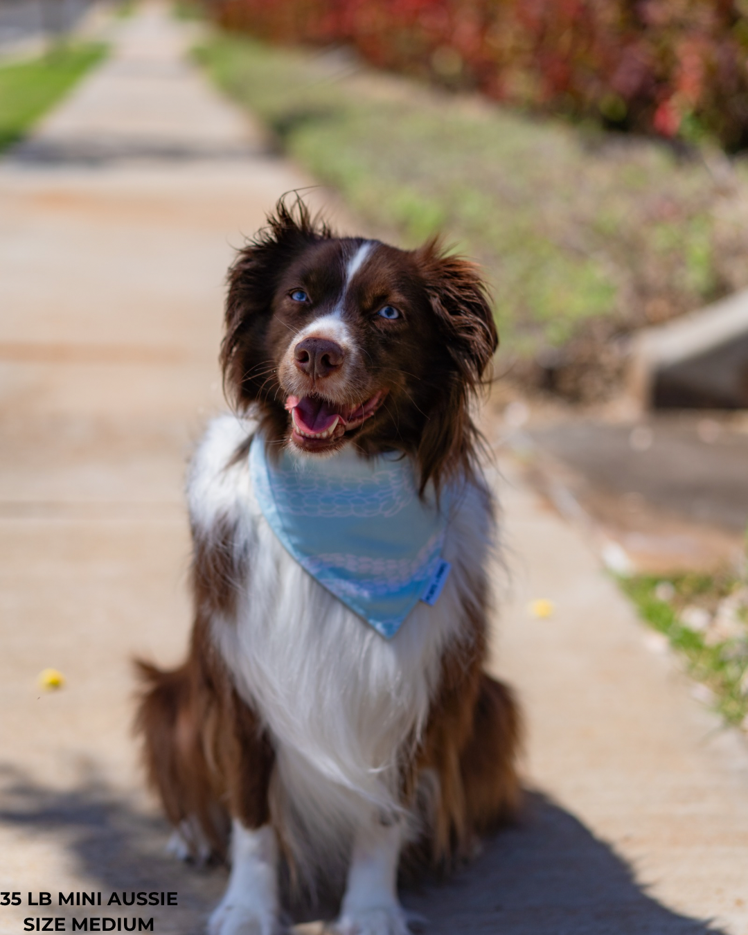 QUICK DRY BANDANA - PIKAKE LEI