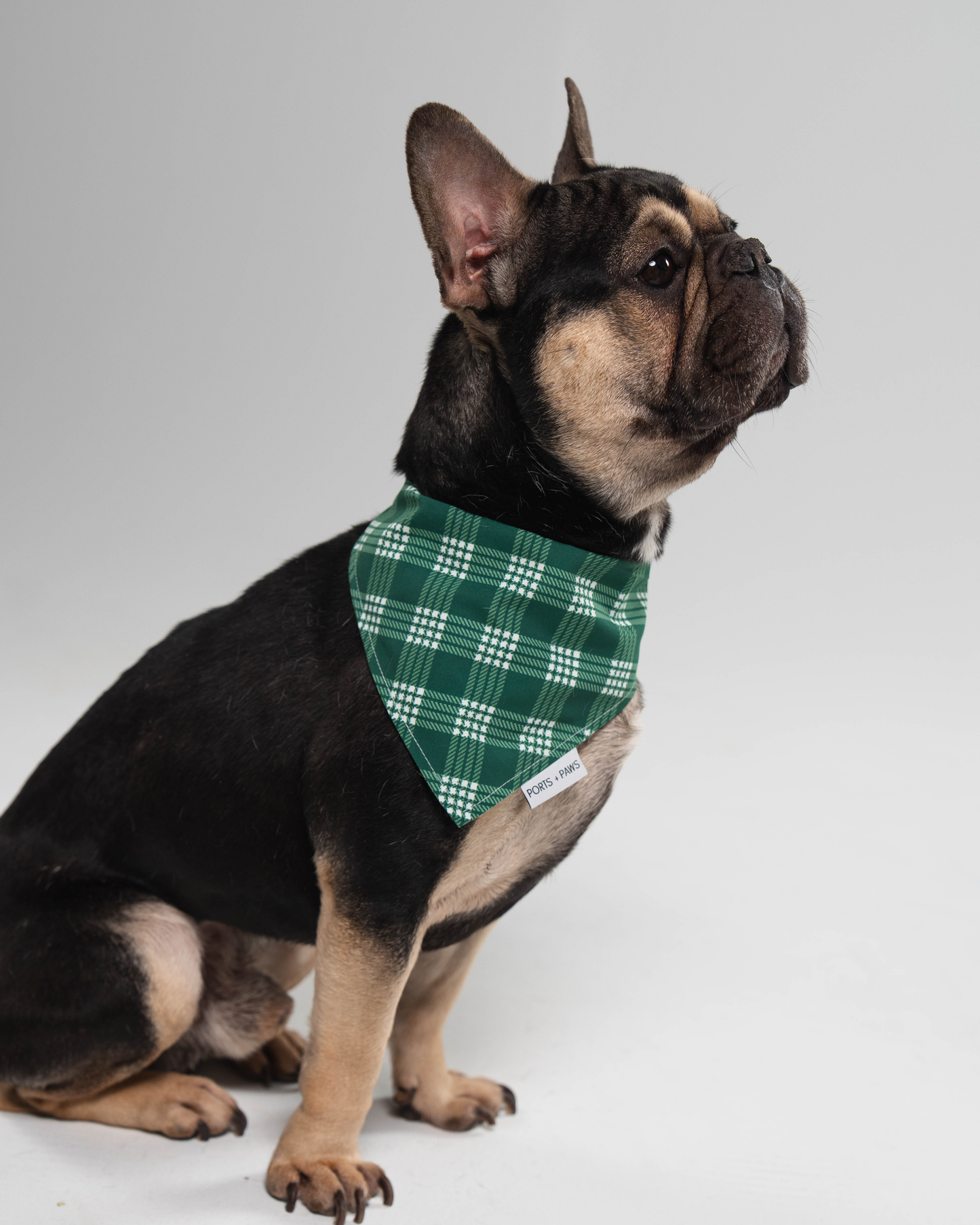 QUICK DRY BANDANA - PALAKA GREEN