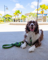 POOP BAG HOLDER - HAWAIIAN HUMANE SOCIETY