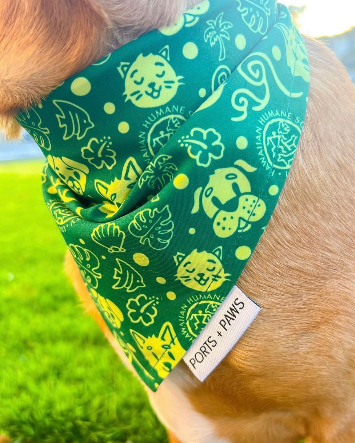 QUICK DRY BANDANA - HAWAIIAN HUMANE SOCIETY