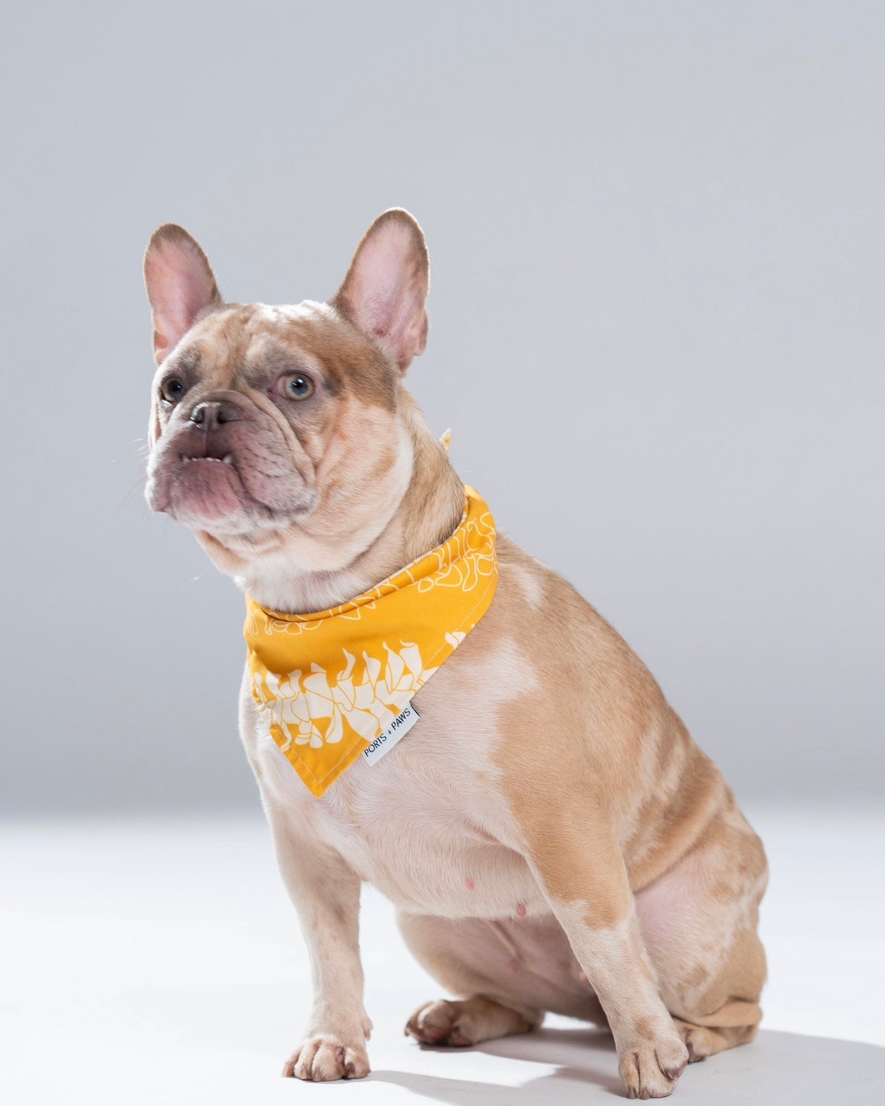 QUICK DRY BANDANA - PUAKENIKENI