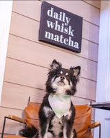 QUICK DRY BANDANA - DAILY WHISK MATCHA