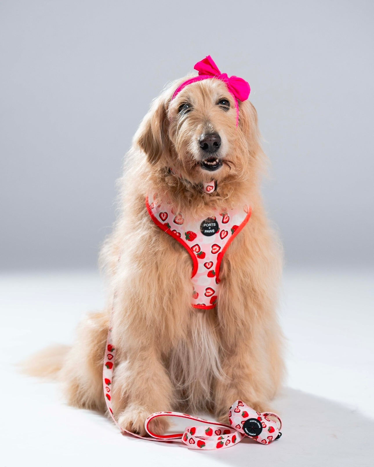 LEASH - STRAWBERRY MOCHI