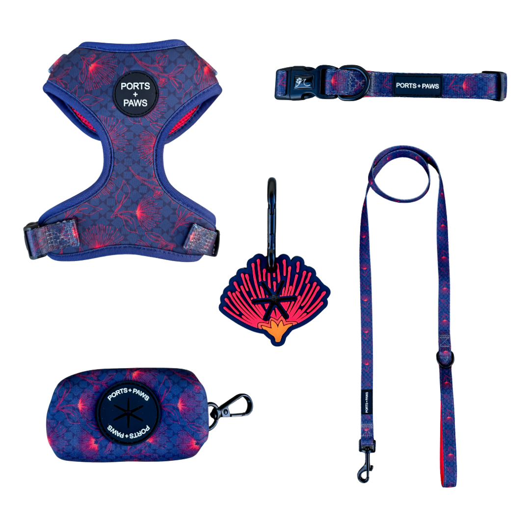 WALKIES BUNDLE - HAWAIʻI ISLAND ʻŌHIʻA LEHUA