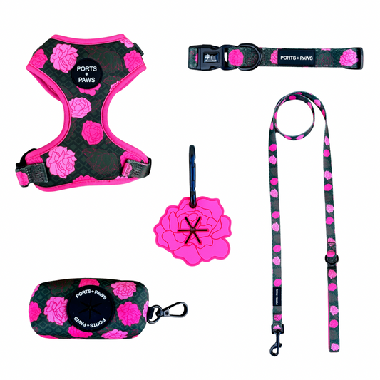 WALKIES BUNDLE - MAUI LOKELANI ROSE