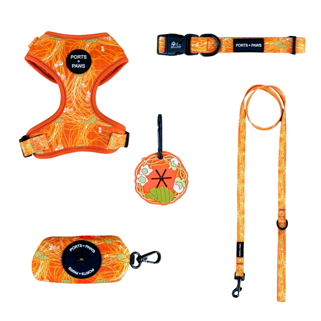 WALKIES BUNDLE - LĀNAʻI KAUNAʻOA