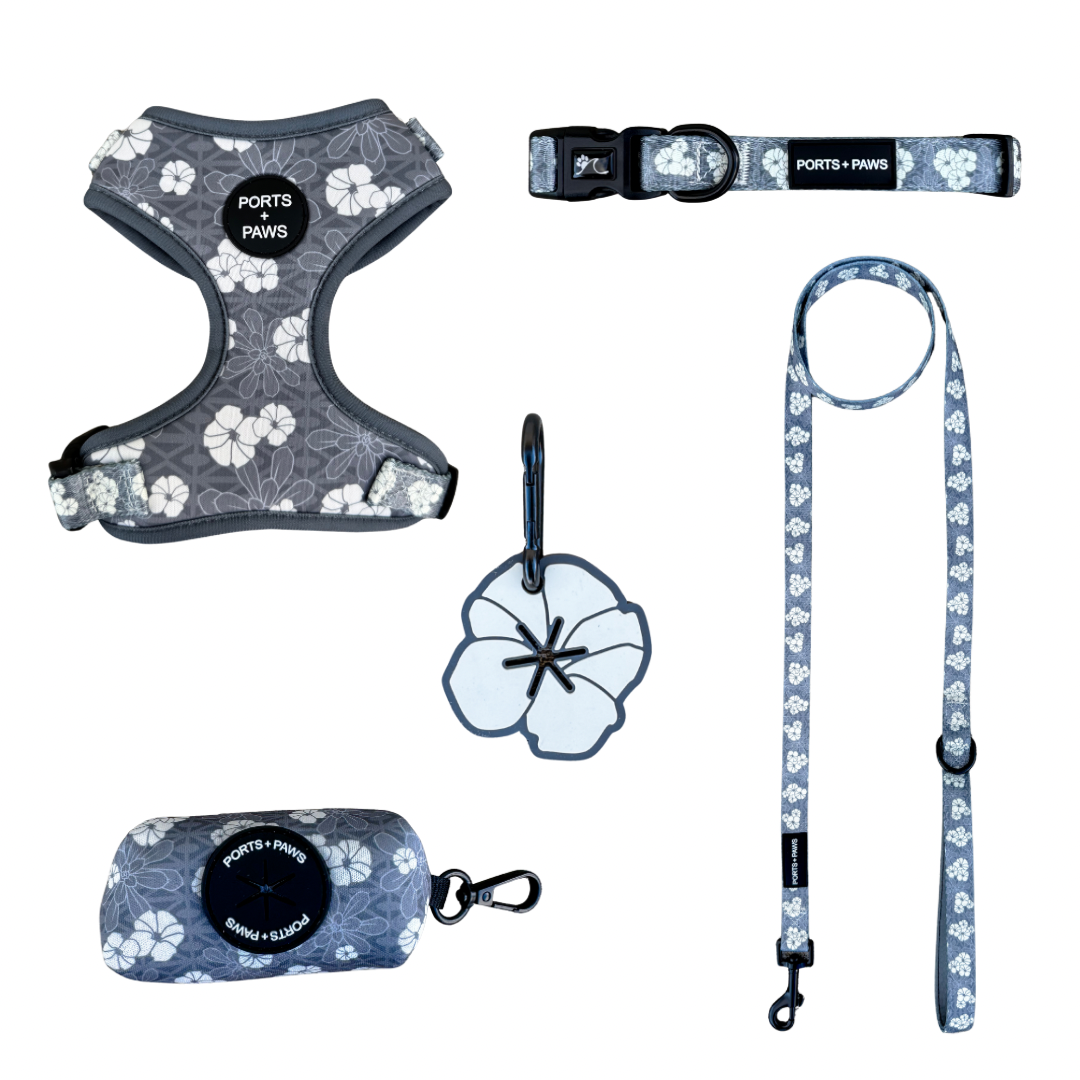 WALKIES BUNDLE - KAHOʻOLAWE HINAHINA