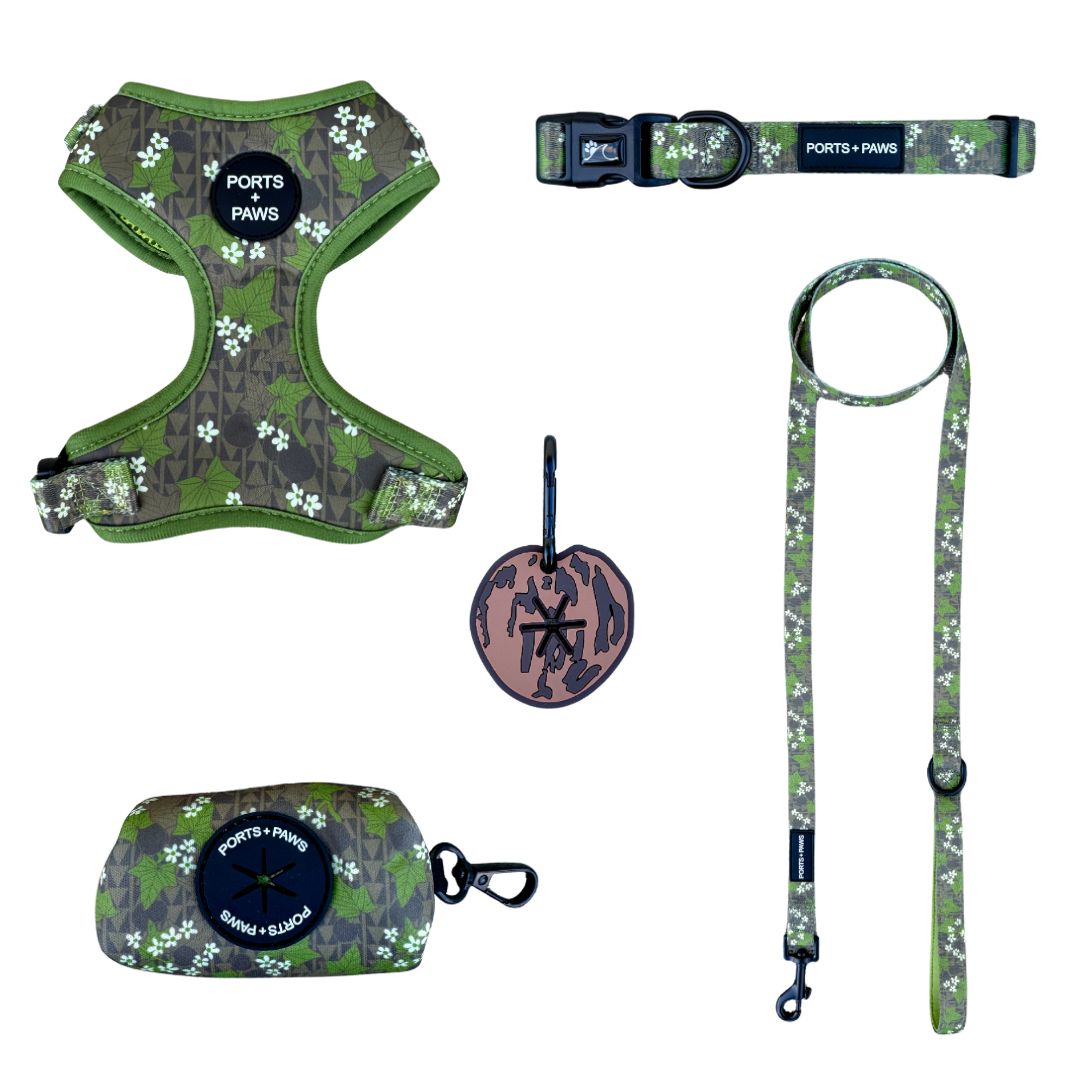 WALKIES BUNDLE - MOLOKAʻI PUA KUKUI NUT