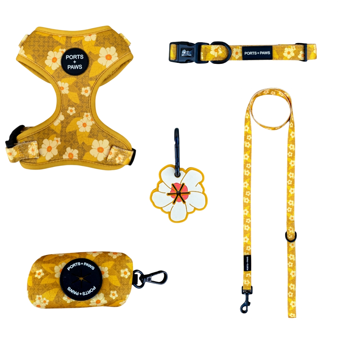 WALKIES BUNDLE - OʻAHU ʻILIMA