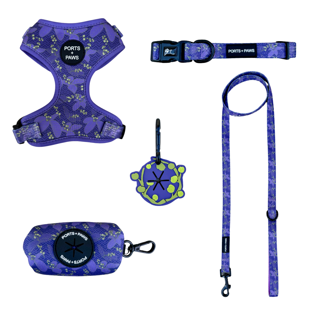 WALKIES BUNDLE - KAUAʻI MOKIHANA BERRY