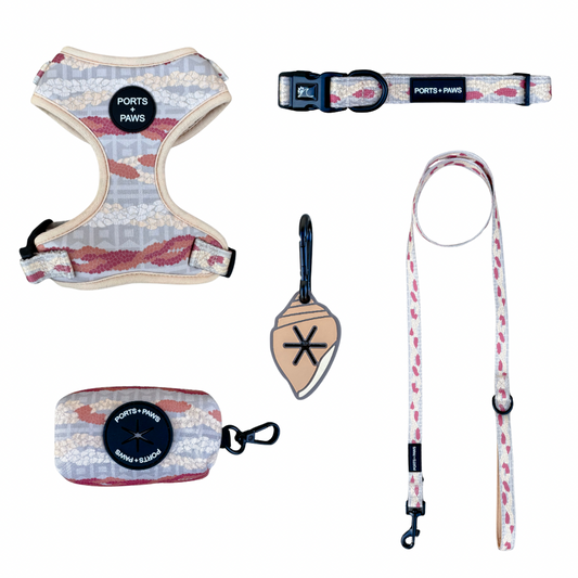 WALKIES BUNDLE - NIʻIHAU PŪPŪ SHELL