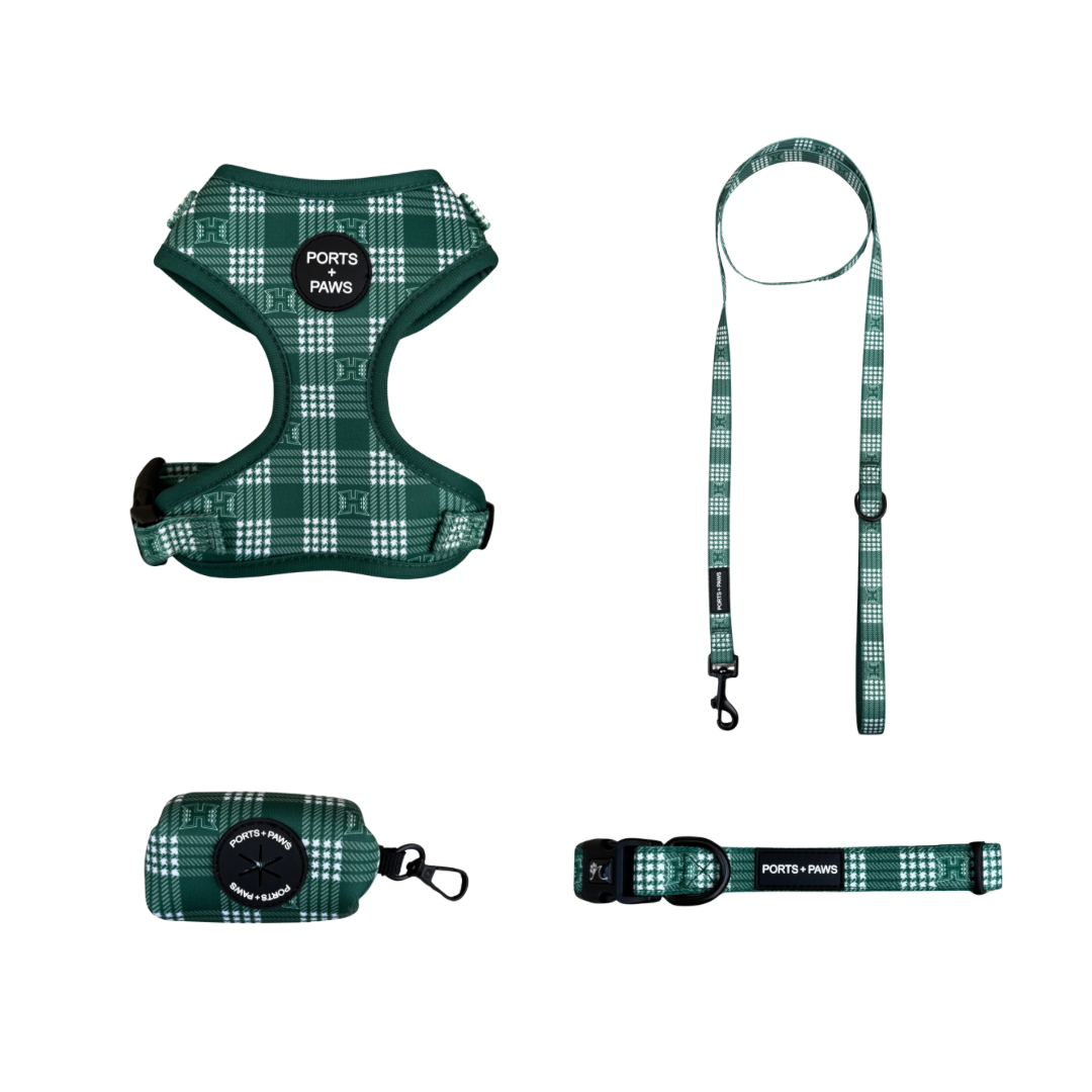 WALKIES BUNDLE - UH PALAKA
