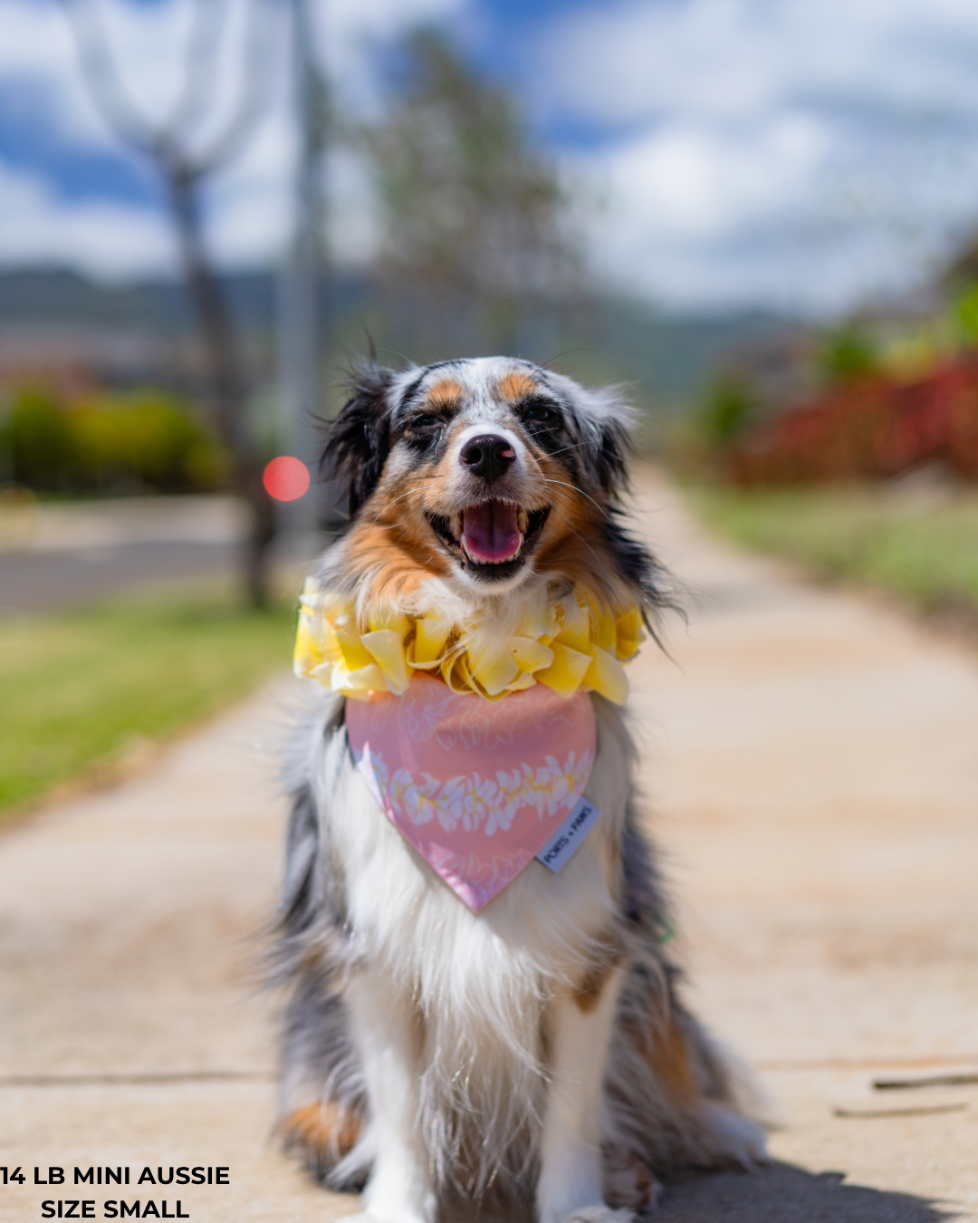 QUICK DRY BANDANA - PLUMERIA LEI