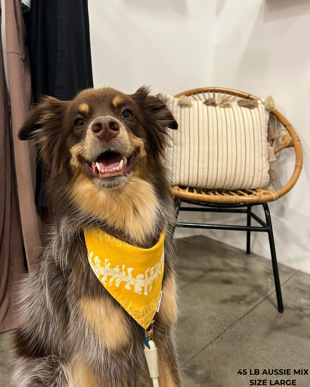 QUICK DRY BANDANA - PUAKENIKENI