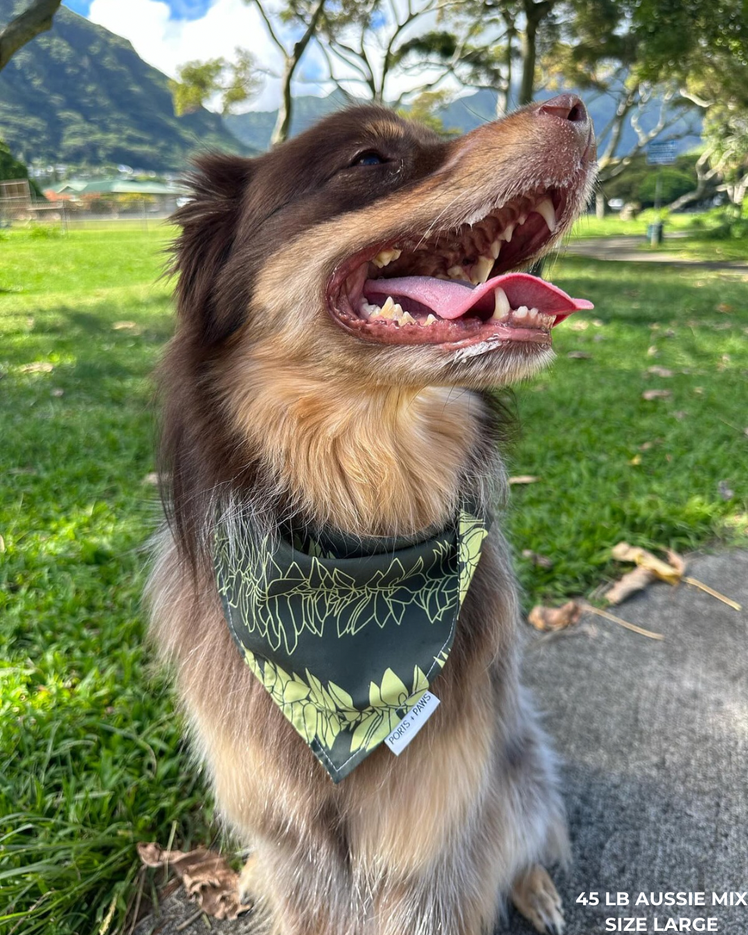 QUICK DRY BANDANA - MAILE