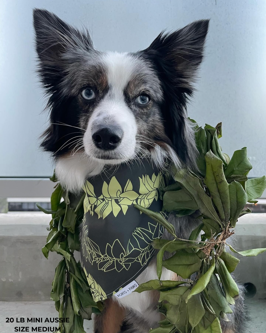 QUICK DRY BANDANA - MAILE