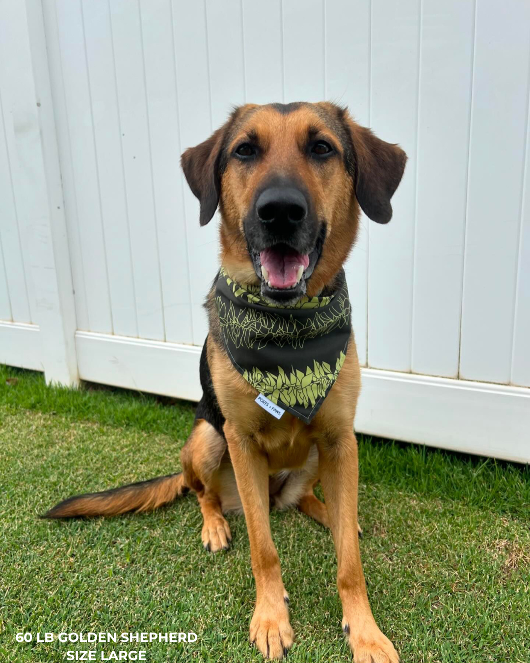 QUICK DRY BANDANA - MAILE