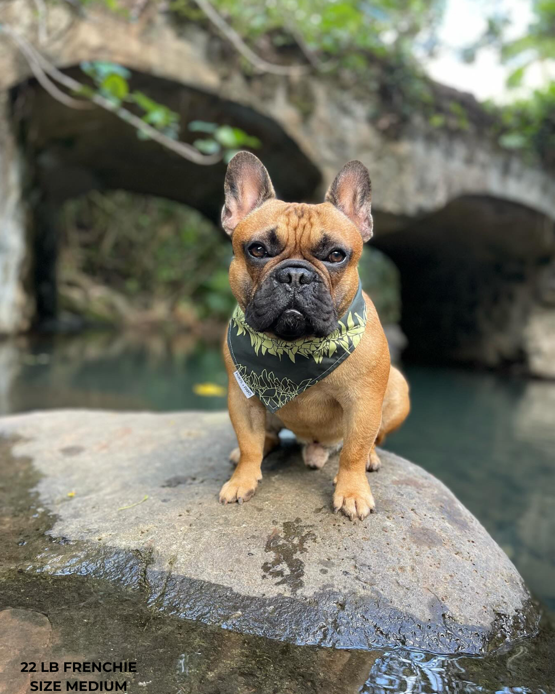 QUICK DRY BANDANA - MAILE