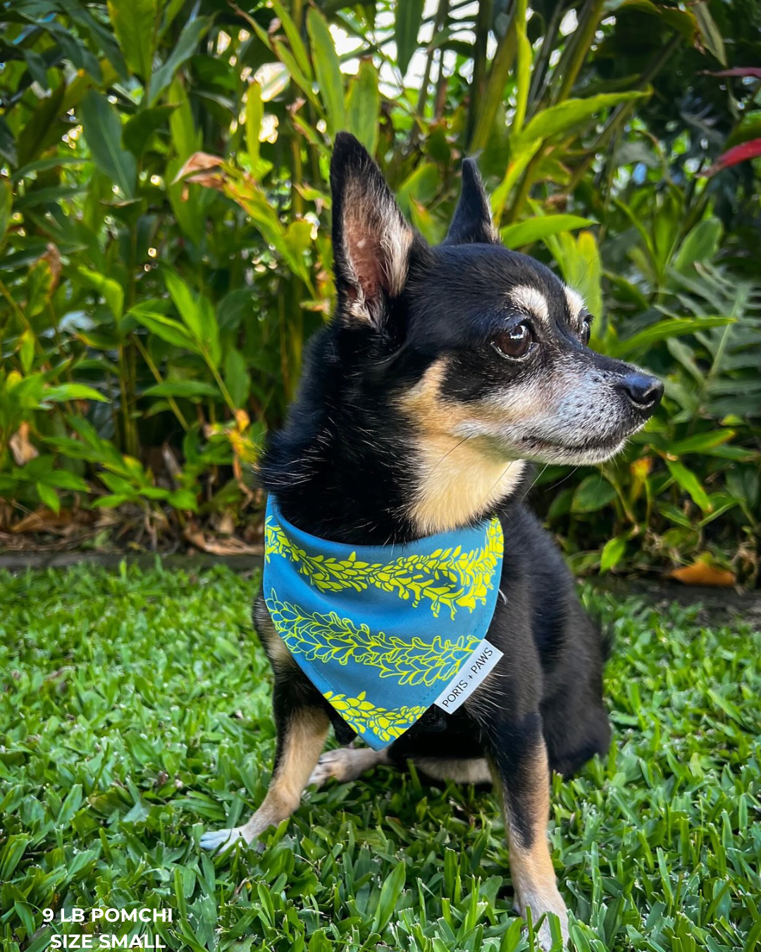 QUICK DRY BANDANA - PAKALANA LEI