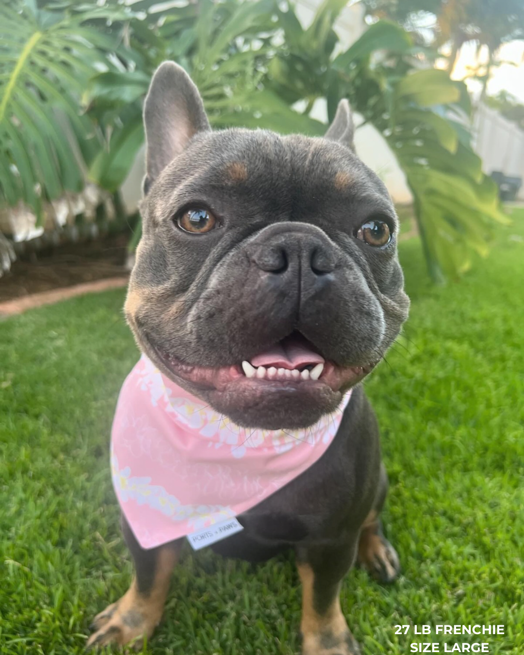 QUICK DRY BANDANA - PLUMERIA LEI