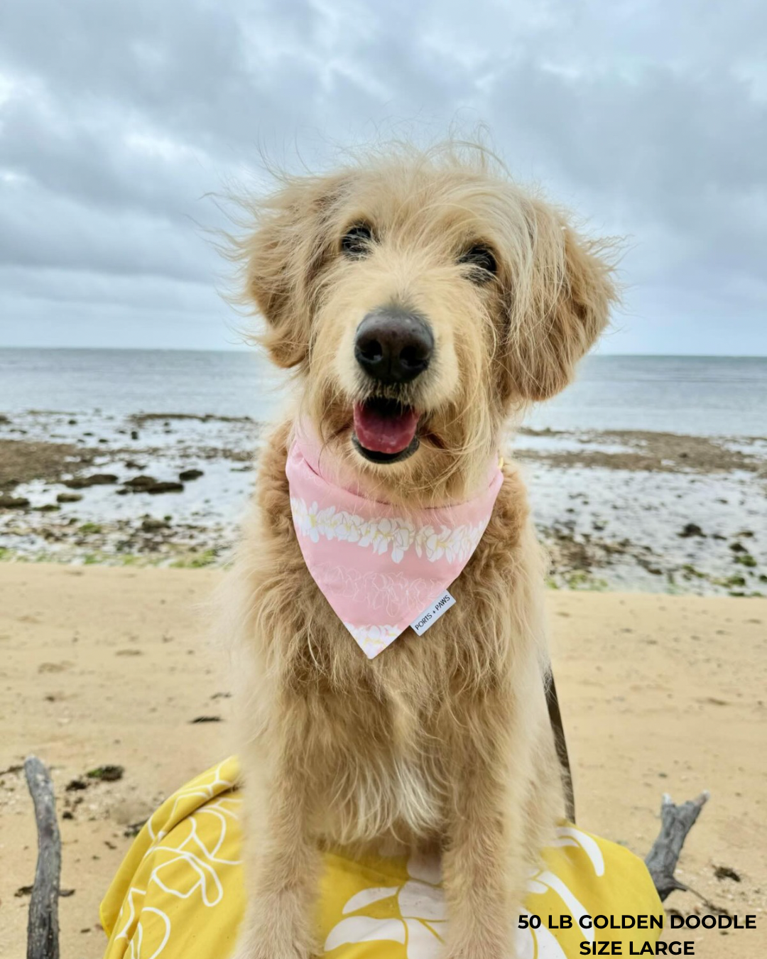 QUICK DRY BANDANA - PLUMERIA LEI