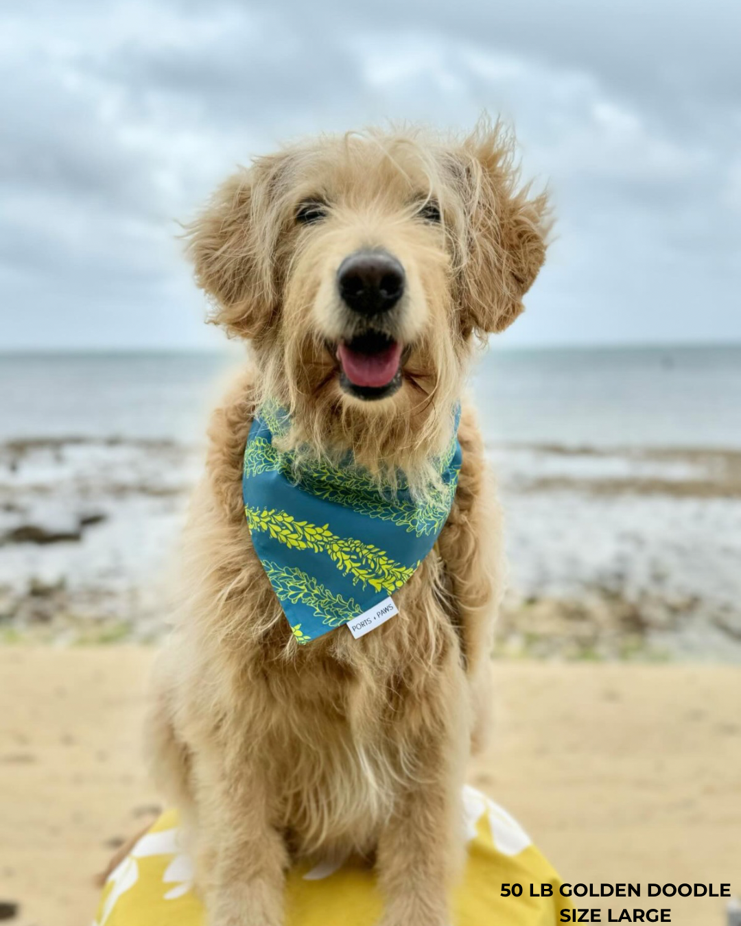 QUICK DRY BANDANA - PAKALANA LEI