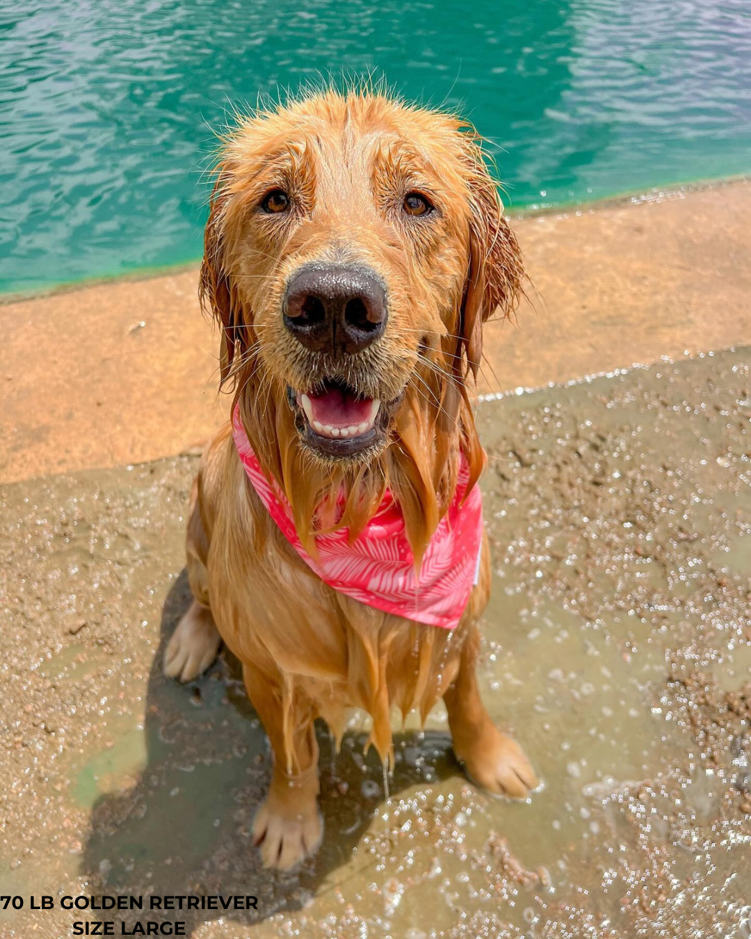 QUICK DRY BANDANA - PALM PINK