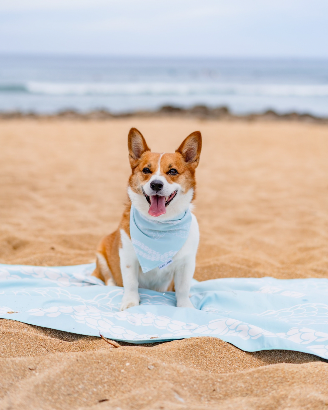 QUICK DRY BANDANA - PIKAKE LEI