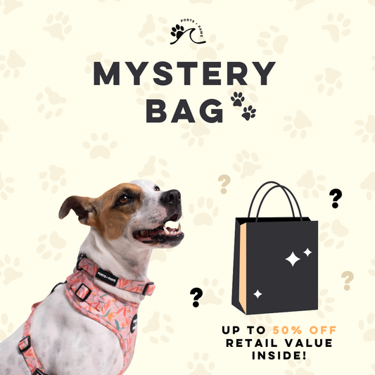 MYSTERY BAG