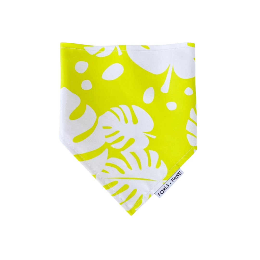 QUICK DRY BANDANA - MONSTERA LEMON