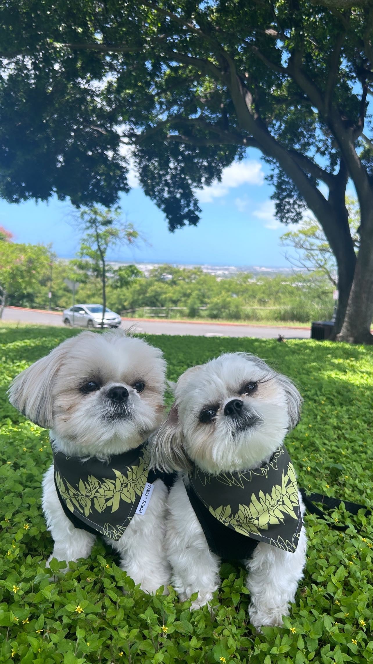 QUICK DRY BANDANA - MAILE