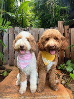 QUICK DRY BANDANA - PLUMERIA LEI