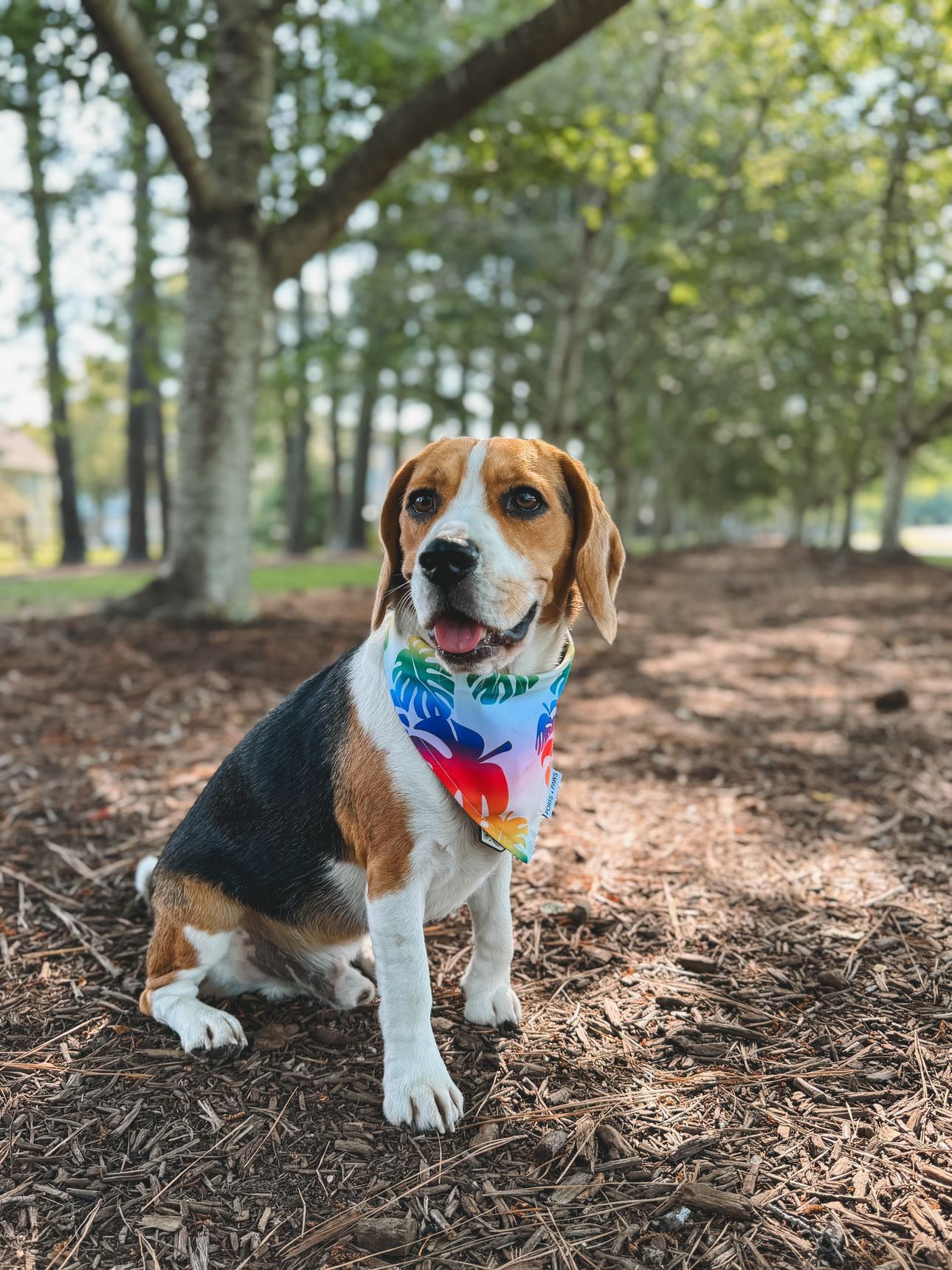 QUICK DRY BANDANA - RAINBOW MONSTERA