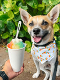 QUICK DRY BANDANA - RAINBOW SHAVE ICE