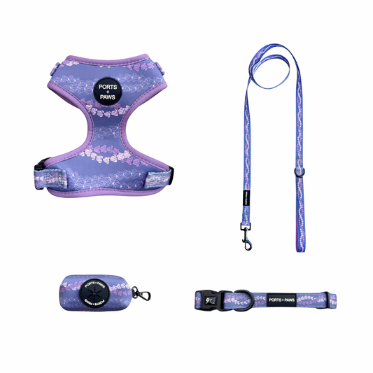 WALKIES BUNDLE - CROWN FLOWER LEI