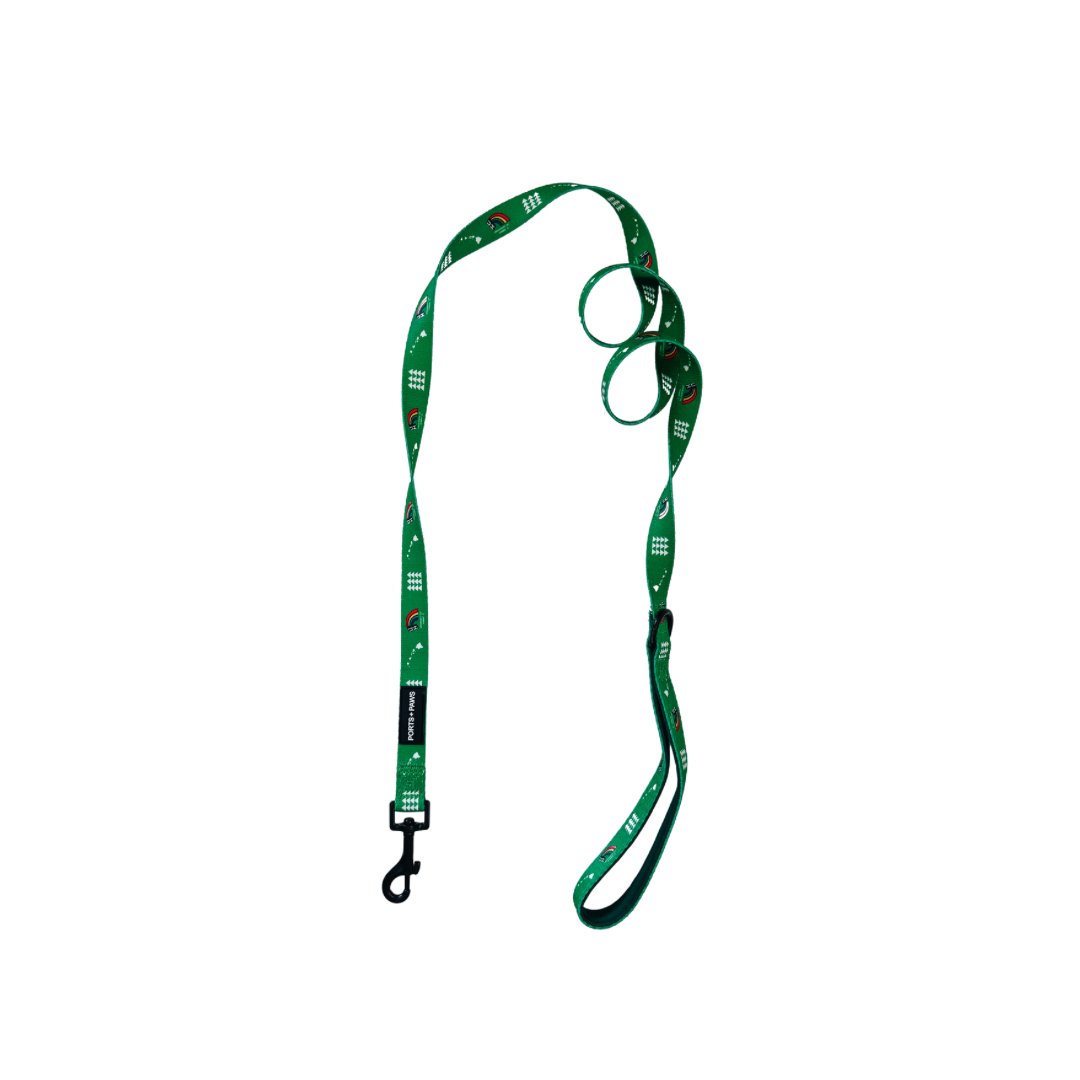 LEASH - UH VINTAGE GREEN